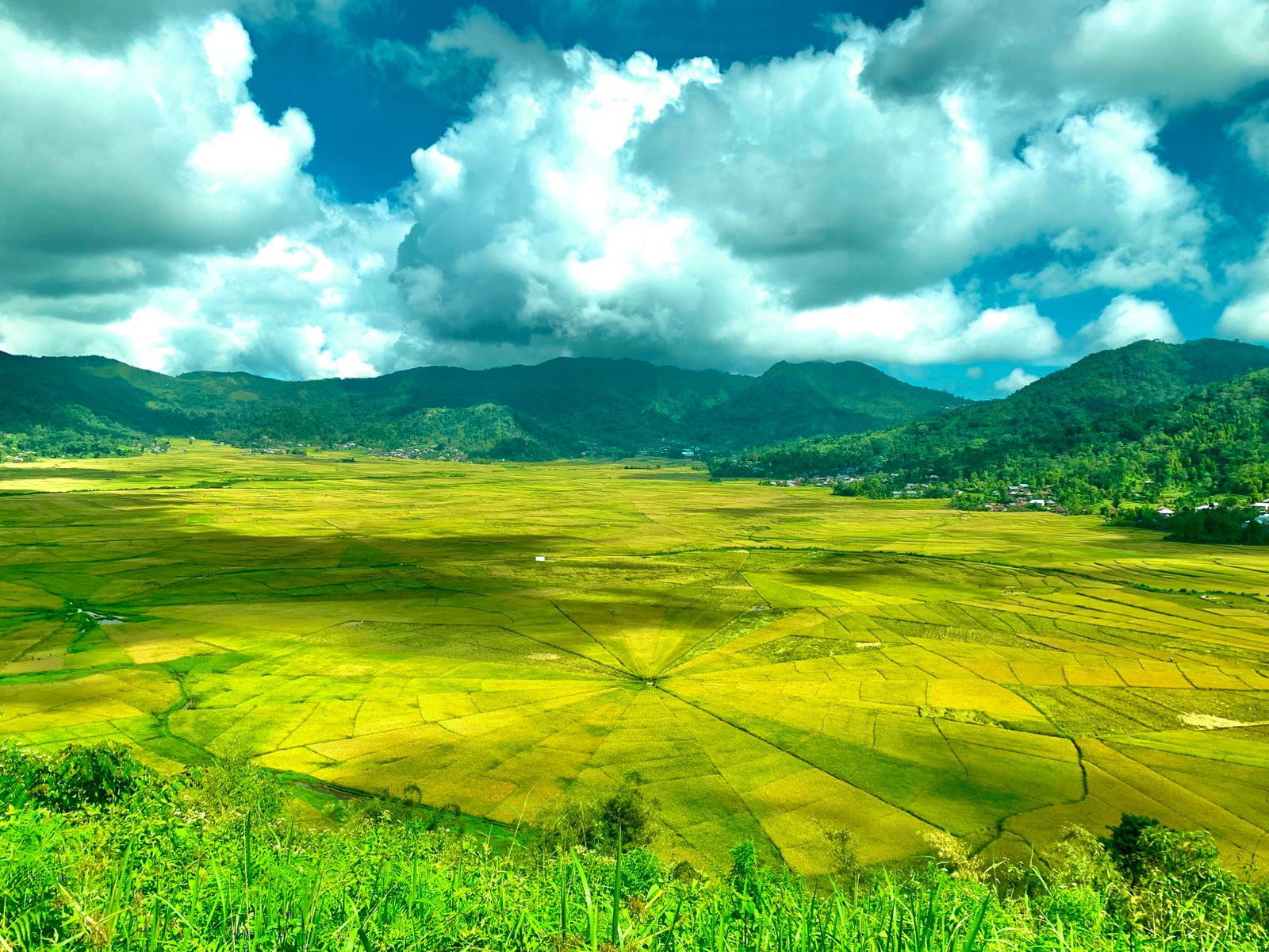 Discovering Flores: History, Legends, and Unique Traditions