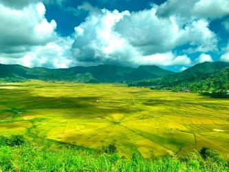 Discovering Flores: History, Legends, and Unique Traditions