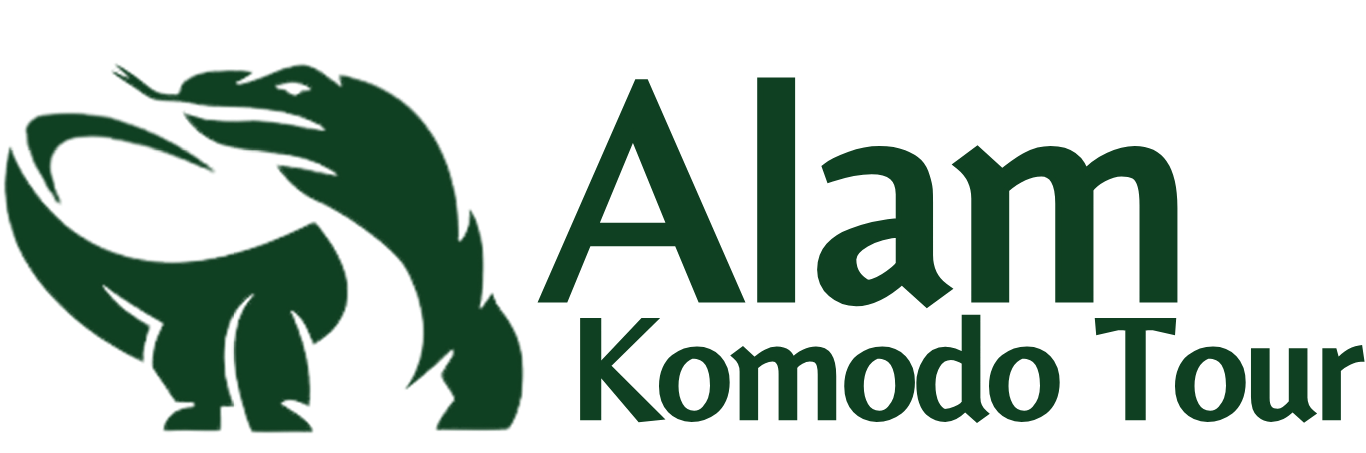 Alam Komodo Tour | Best Tour Packages to Labuan Bajo & Komodo Island
