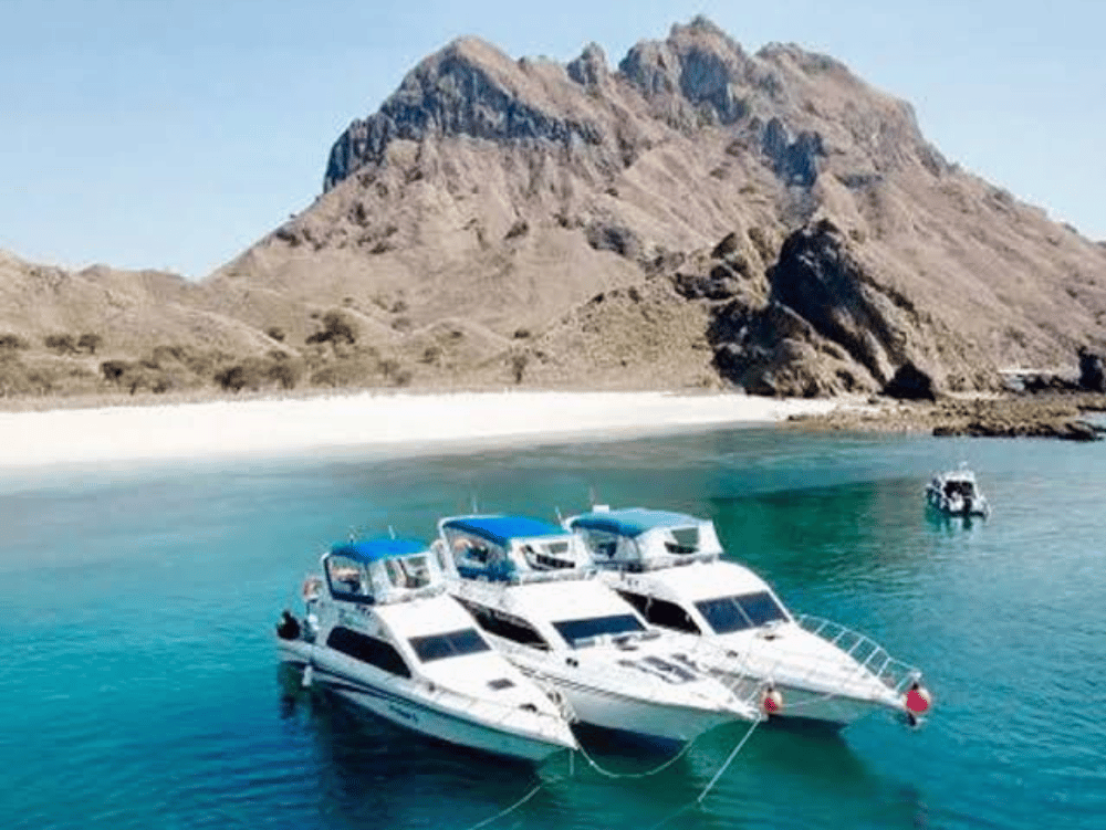 Full Day Komodo Tour